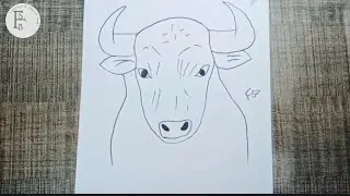 How To Draw A Beautiful Ox Face Sketch Drawing With Pencil Step By Step || Fantastic Sketch Book.