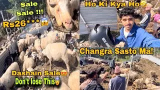 Dashain Offer Ma Changra Ko Easto Sale 😍