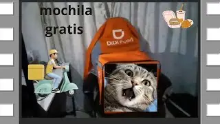mochila didvideo canal