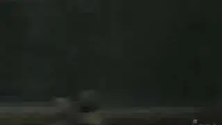 Shadow of the Colossus ~ You Were There