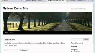 Wordpress Tutorial Video Excerpt Module 2-Video 8 - Plugins Intro and Install