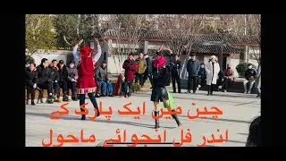 Discover Tranquility: A Serene Park Experience in China / چین میں ایک پارک کے اندر فل انجوائے ماحول
