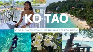 Running a Design Studio While Living in Paradise 🌴💻 | Koh Tao Vlog 2