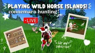 (ACCIDENTALLY ENDED STREAM) SURPRISE IUH BOOST! Hunting for iuhs and connemaras!