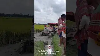 Mahindra 4x4 Stuck! Rice Hauling Gone Wrong  #tractor #shorts #shortvideo