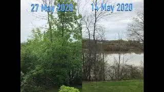Time Lapse Welland River May 2020