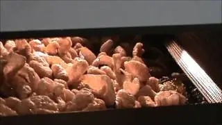 Casa Herrera, Inc. - Fryer Test Run with Chicharrones / Pork Rinds