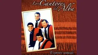 El Que Toca Nunca Baila