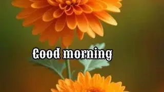 Good morning wishes/Good morning video status//Good morning images. Subscribe @smilingthulasi3686