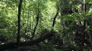 SPRING EDIT - Buffalo River