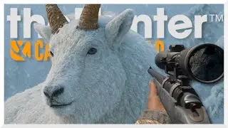 Rare animal called &ndash; seconds before it appears! theHunter Call of the Wild