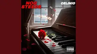 NOG STEEDS