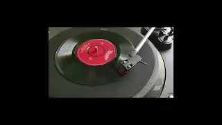Scalextric Roar! Grand Prix sound effects 1. Long Race