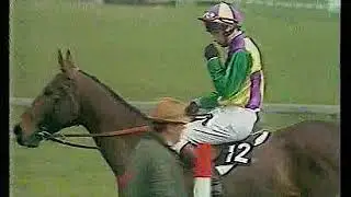 1981 Cheltenham Gold Cup  Little Owl + Replay & Enclosure