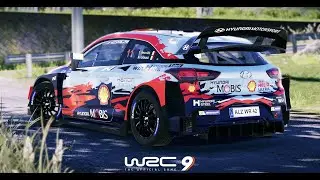 WRC 9 My $0.02 Review