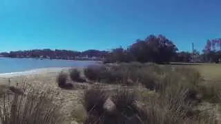 Illoura Reserve, Central Coast, NSW - dogexplorer.com.au