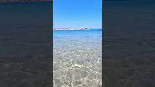 #calvi #plagedecalvi #plage #corsica #corse #spiaggia #beach #travel #mer #mare #sea