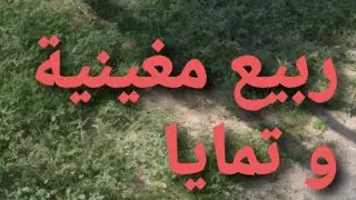 ربيع مغينية و تمايا شرق رابغ ١٤٤٢ هجرية / ٢٠٢١ ميلادية