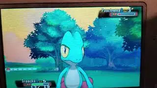 Shiny Treecko after 607 SRs! Pokemon Alpha Sapphire Dream Team Quest!