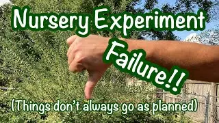 When growing experiments fail in the back yard nursery