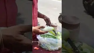Cucumber🥒 with salt Chili🌶 powder🥵🥵 | #youtubeshorts #ytshorts #shorts