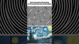Van Gogh Illusion #illusion #opticalillusions #trippy #vangogh