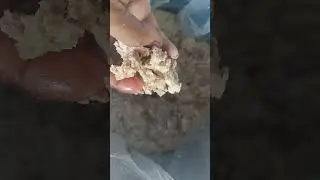 Raw Asafoetida 8950424366 #rawhing #food #ferula #spices #shorts #viralvideo