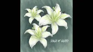 Sense Of Guard