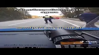 Inside the Swedish Police Force: Crime-fighting Tactics and Challenges 🚓