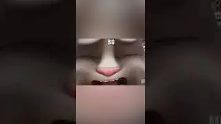 Talking Tom 
