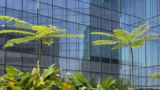 Tugas Agenda 1 - Kesiapsiagaan Bela Negara - Praktik Baris Berbaris