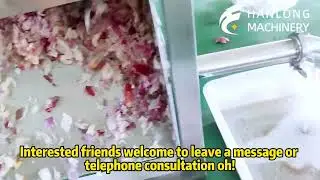 Onion crushing and juicing unit | Onion crusher juicer | fruit and vegetableprocessing equipment