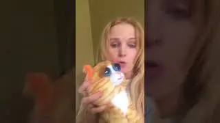 Feisty pets Princess Pottymouth