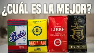 ✅ Gu&iacute;a DEFINITIVA de YERBAS TIPO URUGUAYAS 🇺🇾 | Canarias, Baldo, Rei Verde y Libre