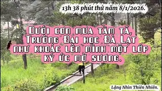 Trường Đại Học Đà Lạt dưới cơn mưa tầm tã như khoác lên mình lớp ký ức mờ sướng#đàlạt#travel#nature 
