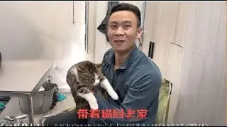 决定带着雪地里跑来的流浪猫跟着我们一起回4000公里外的重庆