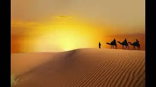 Sands of Time - Chasing Shadows 🎧 Oracle // NEW // 2024