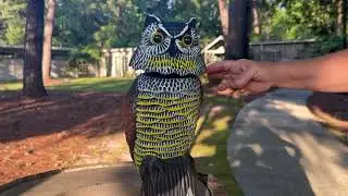 Hedoc Fake Owl Decoys to Scare Birds Away, Rotating Head Sculptures, Nature Enemy Scarecrow Plastic