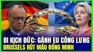 Bi Kịch Đức Gánh EU Còng Lưng: Brussels Hút Máu Đồng Minh Tận Cùng | LSQS Luận Đàm