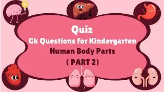 Fun Health Quiz: Human Body Parts | part 2 | Preschool Learning Game | Kg GK Quiz  #viral 112211