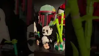 Lego heads display and brick heads display