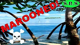 SPOIL ISLANDS/INDIAN RIVER LAGOON/DUAL KAYAK ISLAND ADVENTURE