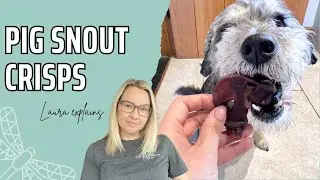 &iquest;Son las patatas fritas Pig Snout el mejor snack para perros?