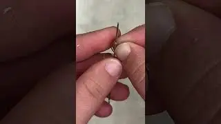 Enfiler un fil dans une aiguille en maroquinerie - Point sellier