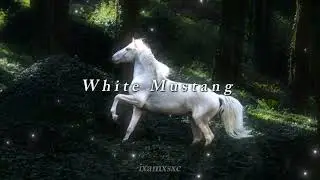 Lana Del Rey - White Mustang ( slowed + reverb )