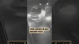 gang jailed over street violence