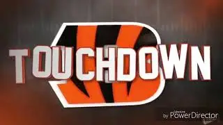Cincinnati Bengals Custom 2018-2019 Touchdown Horn