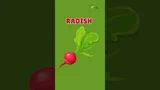 🥕🥦 Vegetables Vocabulary | Learn Vegetable Names for Kids! 🌽🍆🍅
