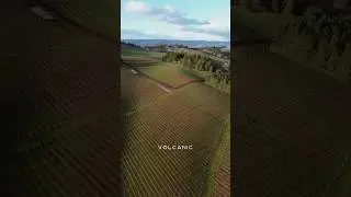 Volcanic Soil & Growing Grapes 🍇 #jorysoil #volcanicsoil #winegrapes
