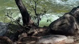 Yosemite National Park Beautiful Spring Footage 4k slomo